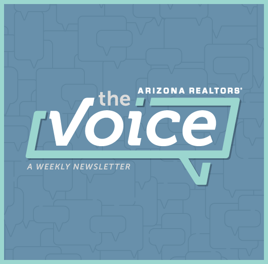 The Voice Newsletter